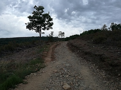 170613 Rabanal del Camino - El Acebo 17 km