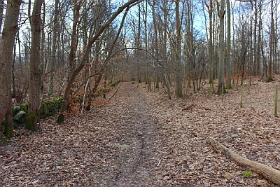 180316 Tur fra Slagslunde skov til Oelstykke