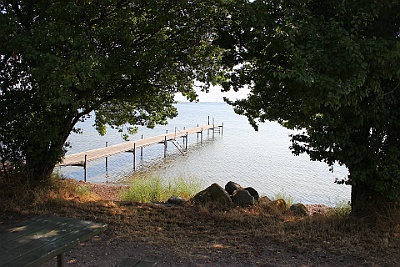 180809 Tur fra Kalvehave lamgs med stranden og gennem skoven til Balle Strand