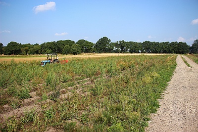 180816 Tur Rundt om Jungshoved over Roneklint til Boeget Strand