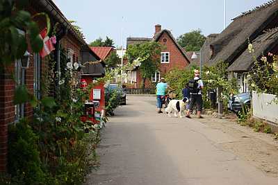 IMG_6140
