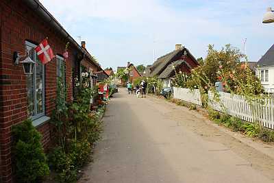 IMG_6141