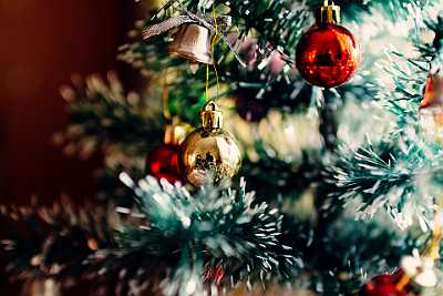 christmas-tree-1149619