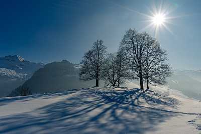 winter-4679383_1920