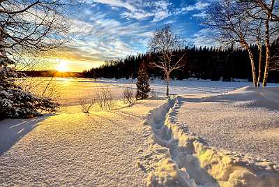 winter-landscape-636634