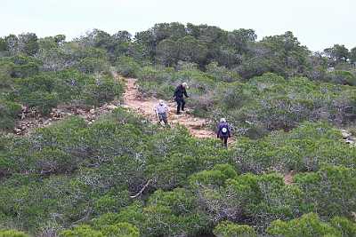 200124 Tur i det groenne område over Guadamar med Bodil og Jesper